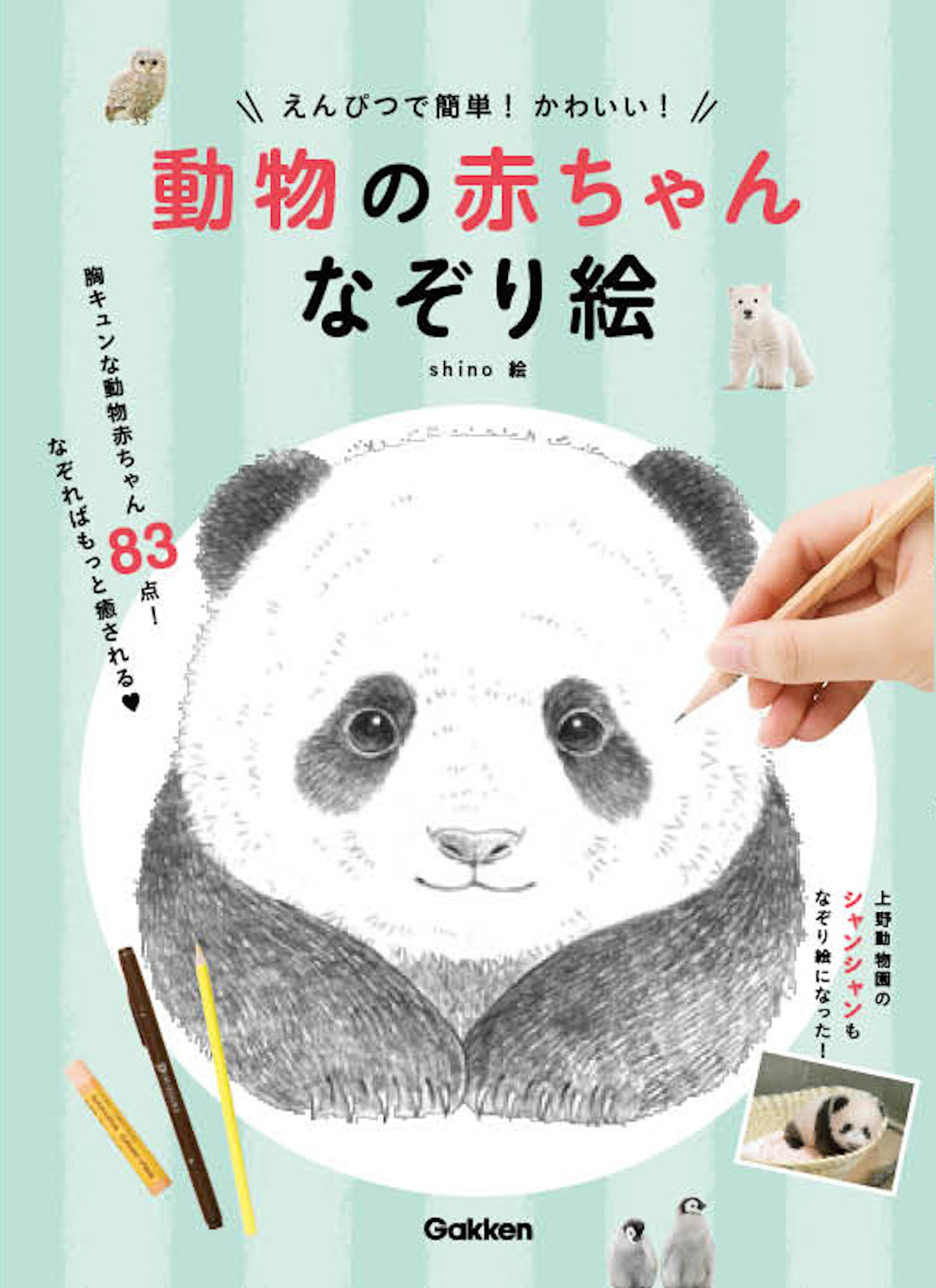 かわいい動物の赤ちゃんが描ける えんぴつで簡単 かわいい 動物の赤ちゃんなぞり絵 発売 Curio Factory