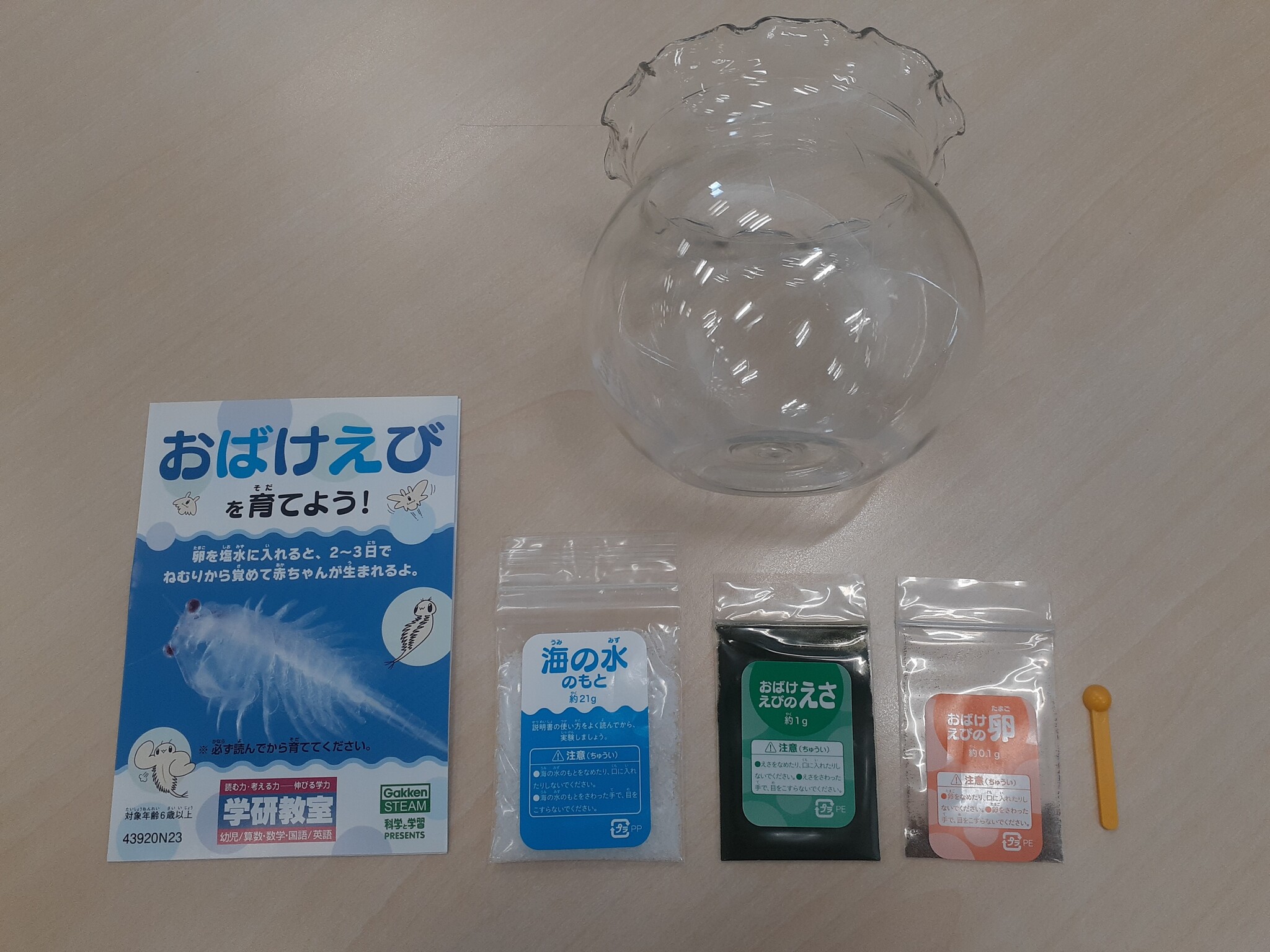 おばけえびってなに!? 観察日記、始まります！ | Gakken家庭学習応援プロジェクト マナビスタ